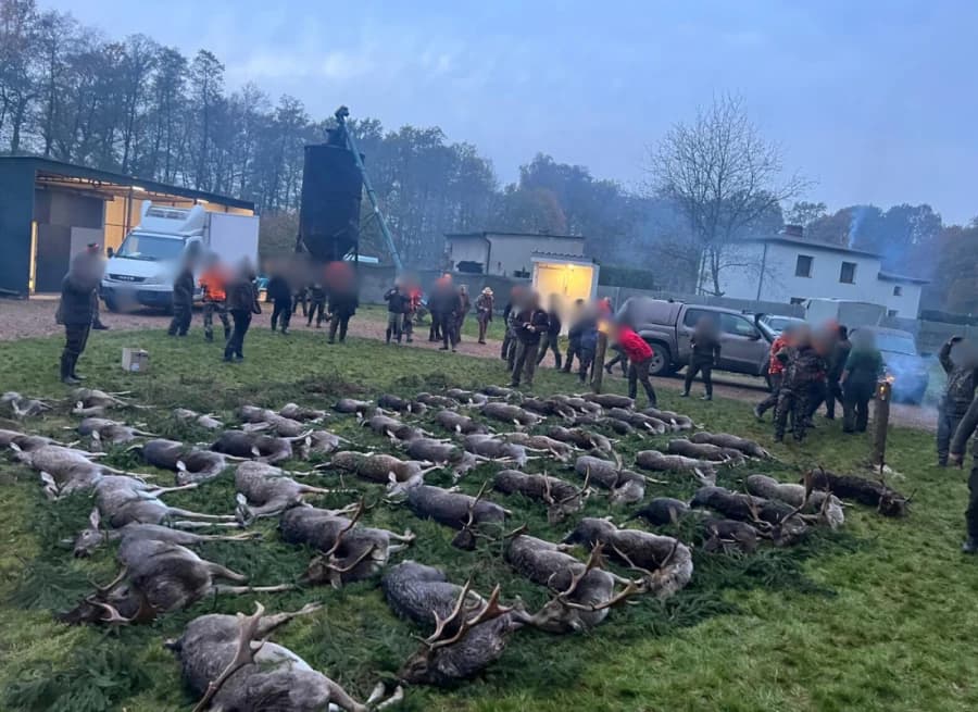 Pokot - feierliches Streckenlegen nach der Drückjagd