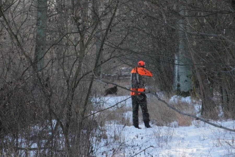 Hochstand - Schützenstand bei der Drückjagd